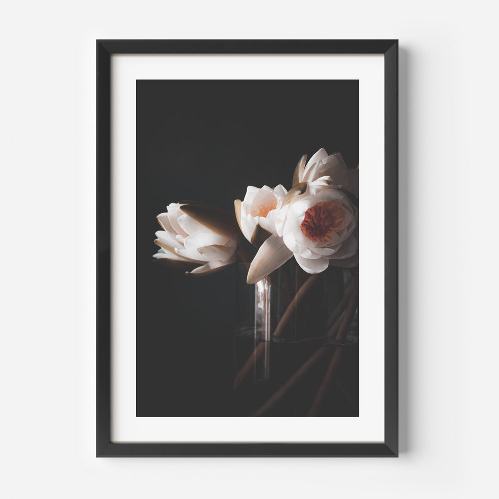 Water Lillies Art Print