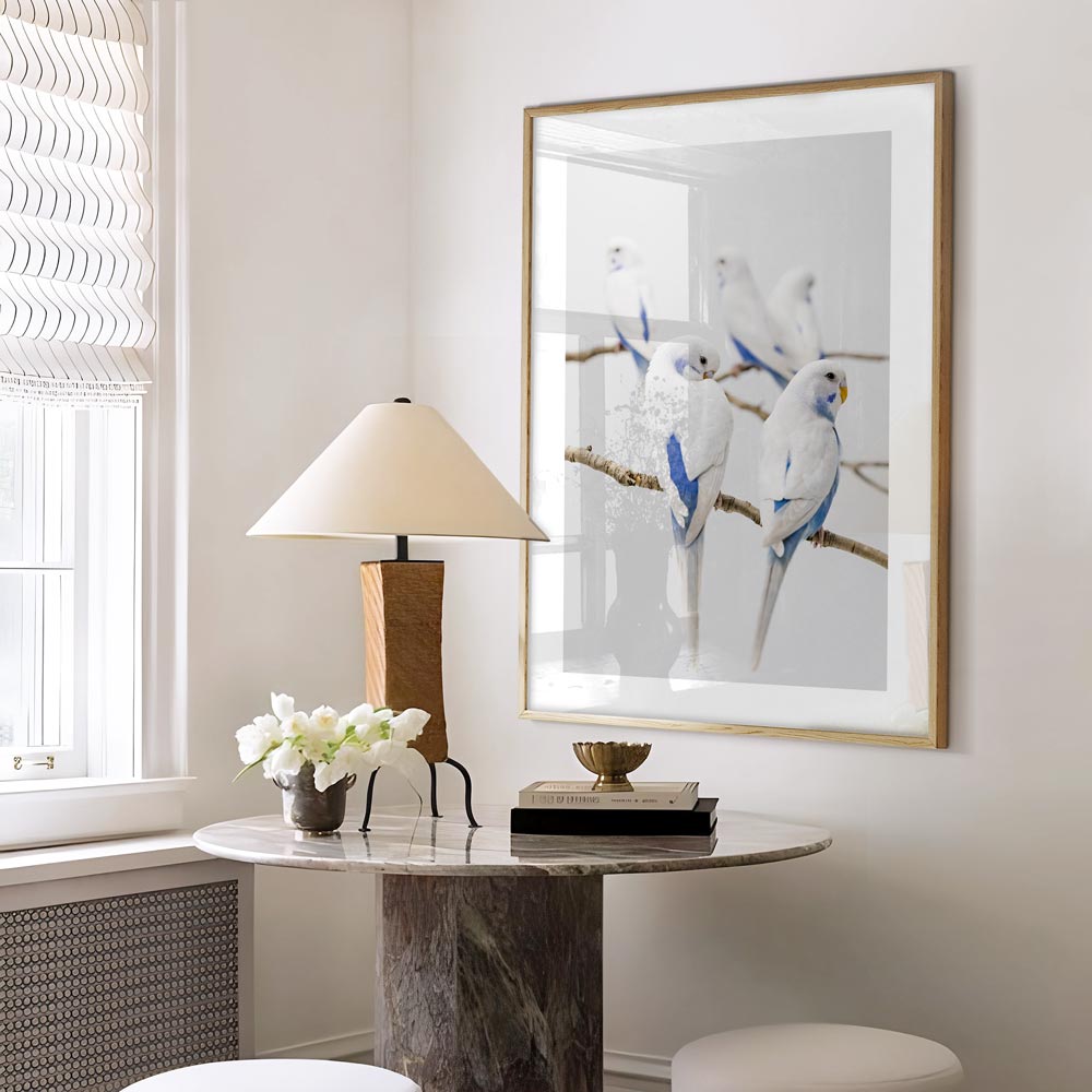 Angel Wings I Baby Budgerigars Art Print