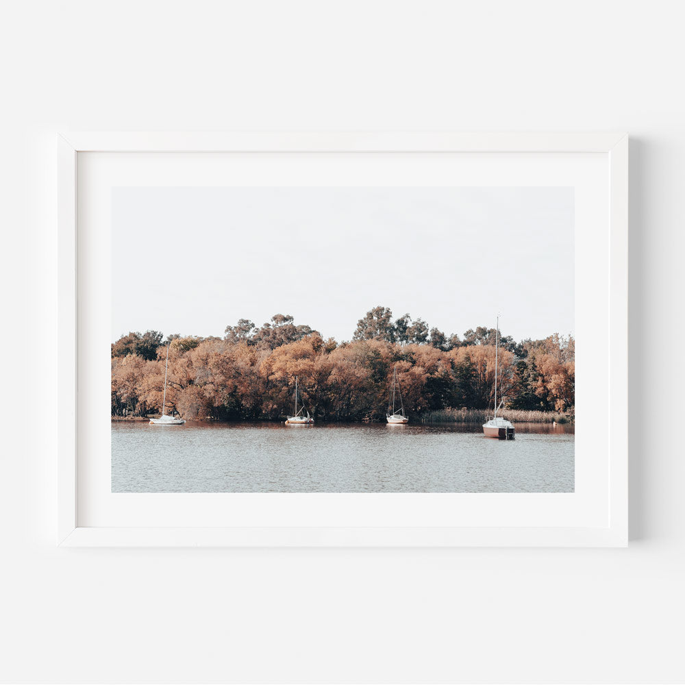 A framed print depicting a landscape with trees and water, likely a photographic artwork scene in Canberra.