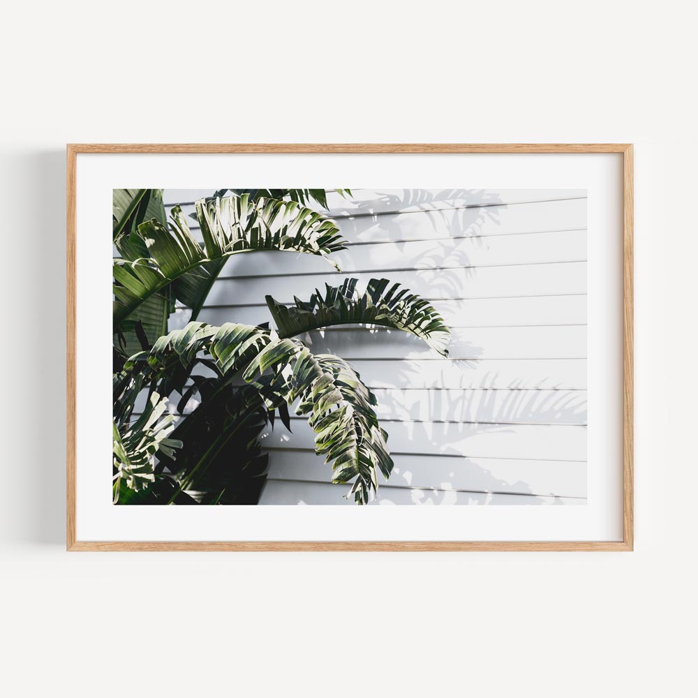 Artwork of tropical palm leaf print for front room wall art