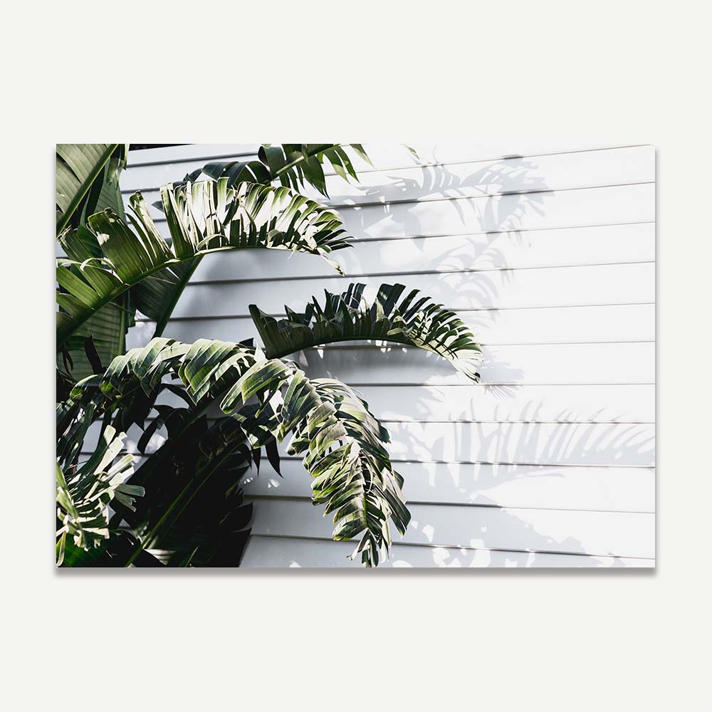 Wall art decor with cool art of tropical palm leaf print