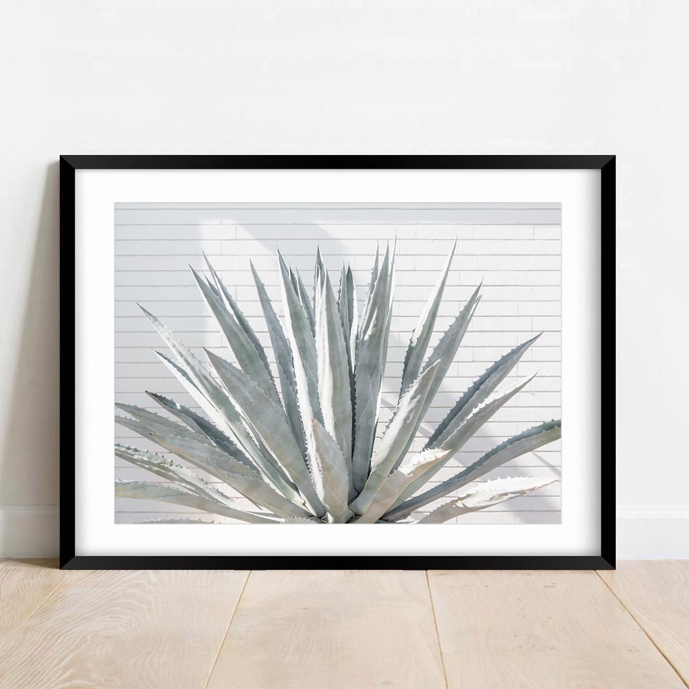 Framed photo of agave cacti and in Palm Springs, home wall art
