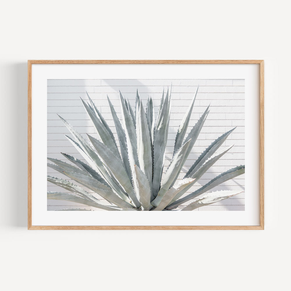 Palm Springs agave cacti and framed photo, wall art for living room