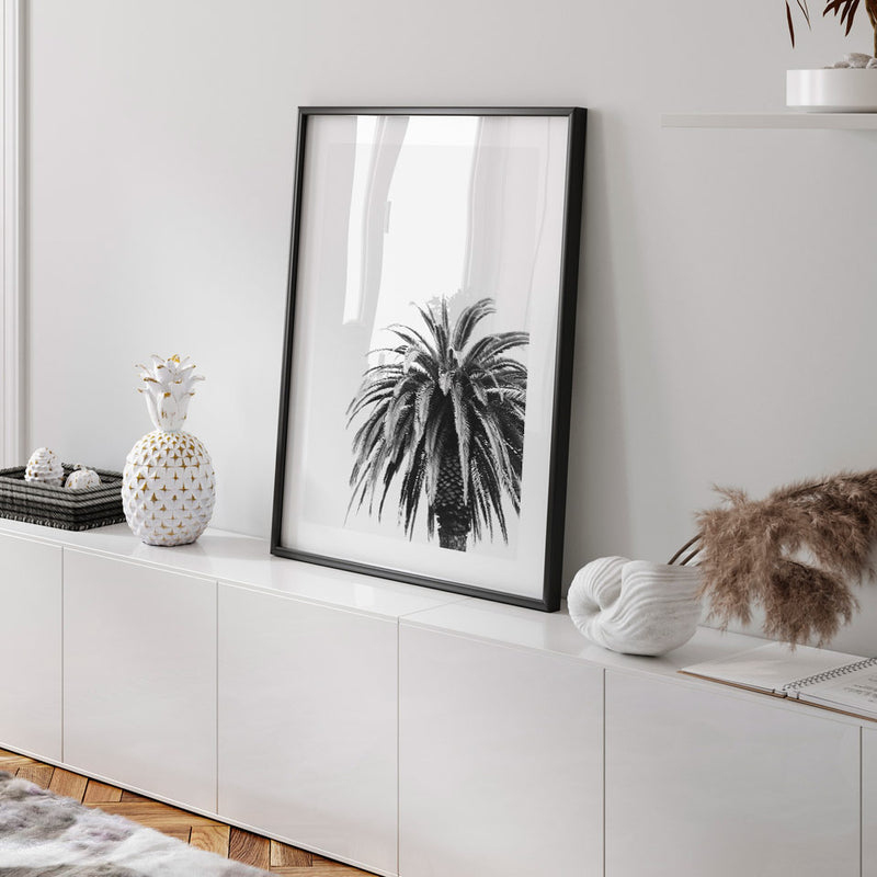 BW Palm