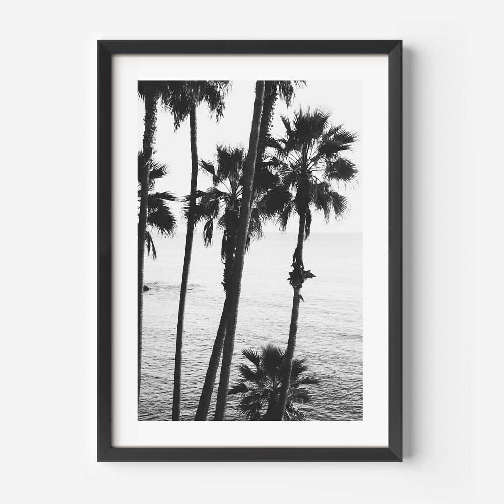 Monochrome Palm Trees Print - Framed Wall Art Decor from Oblongshop