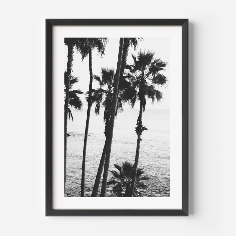 BW Laguna Beach