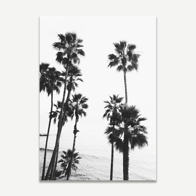 Set of 2 - BW Laguna Palms & BW Palm