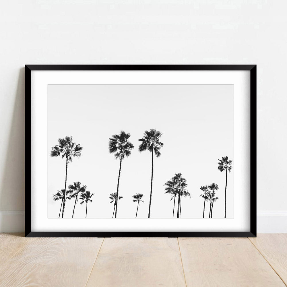 Enhance your space with BW LA Palms - captivating palm trees in black and white, ideal for wall art.