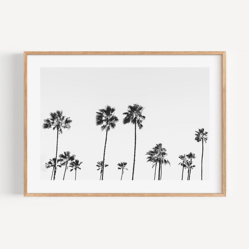 BW LA Palms