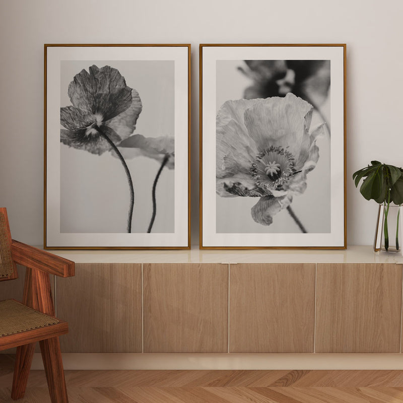 BW Poppies II