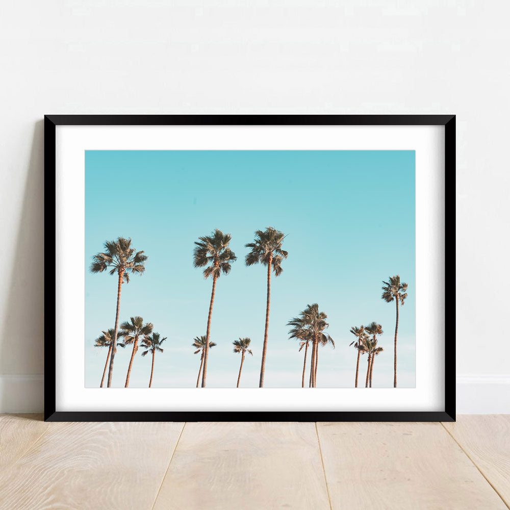 Captivating palm trees in a black frame against a blue sky - unique wall art from Oblongshop.