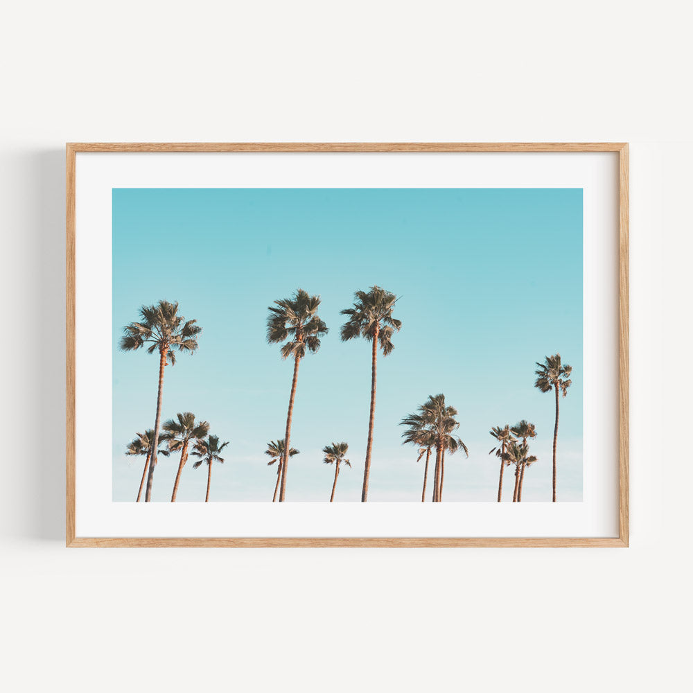  Serene palm trees in California, beautifully framed - enhance your space with our wall art prints.