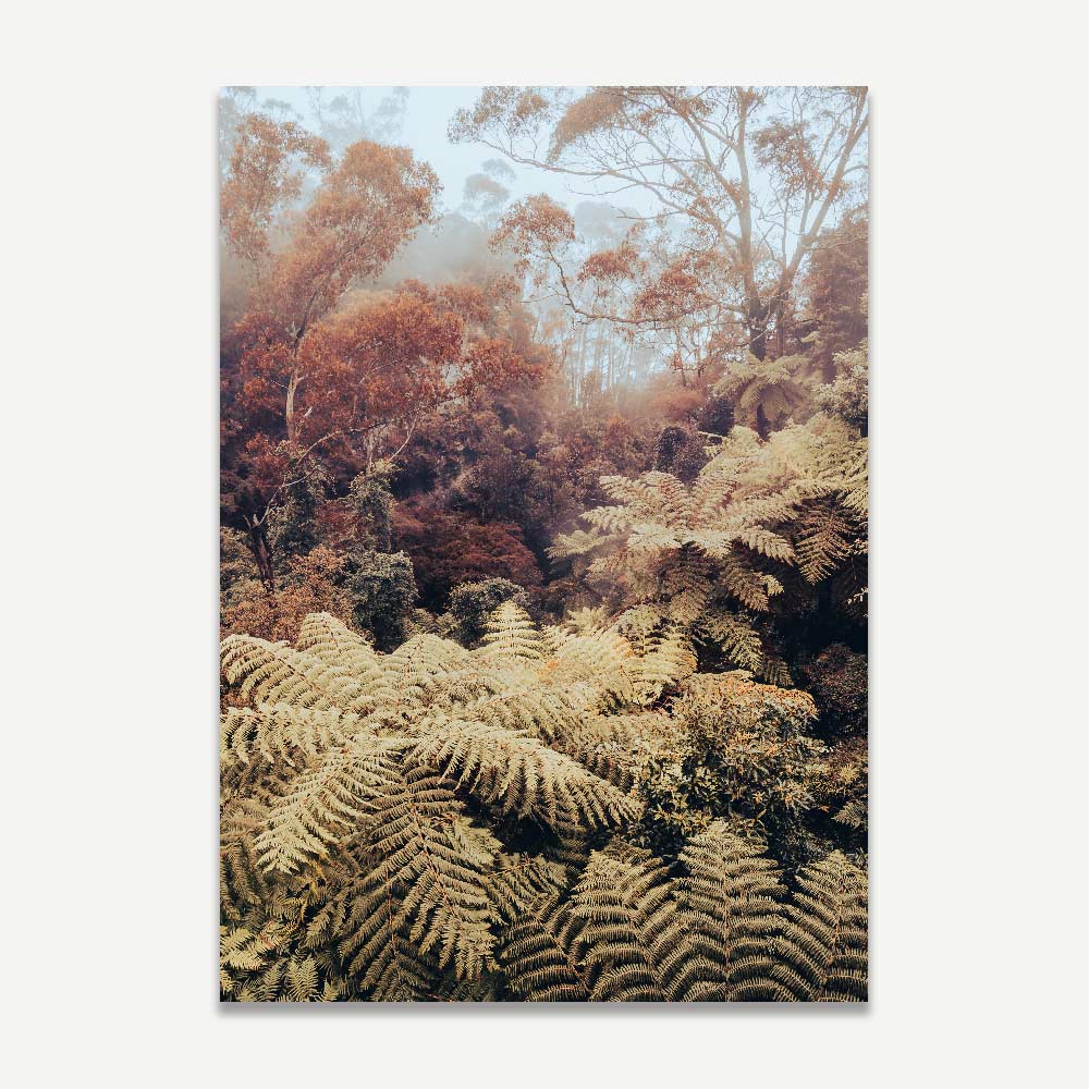 Fern-lined Canyon: Captivating landscape of The Blue Mountains, NSW, Australia, brimming with lush greenery, suitable for framed art and canvas prints.