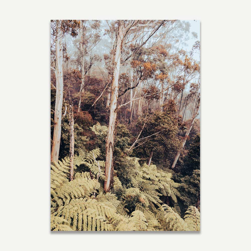 Canyon II