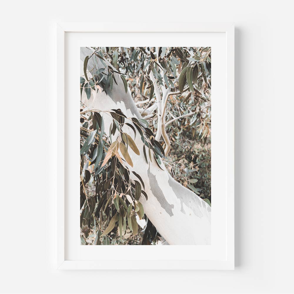 Eucalyptus Elegance: Stunning wall art featuring a majestic eucalyptus tree, perfect for enhancing both home and office decor.