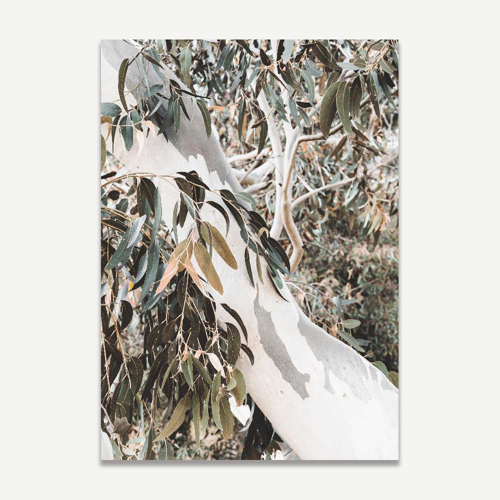 Eucalyptus Tranquility: Transform your home or office with the calming allure of a eucalyptus tree captured in this exquisite wall art.