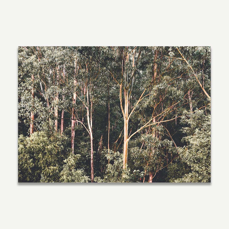 KV Bushland III