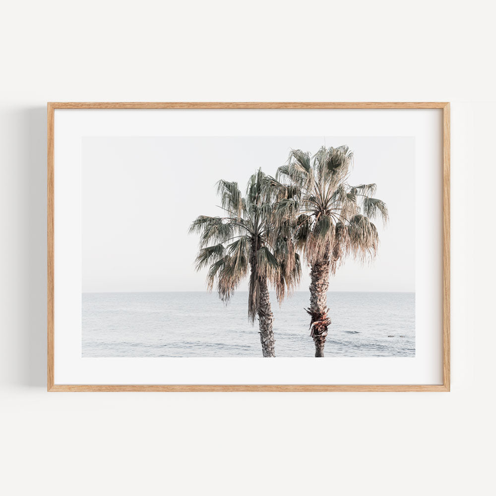 Abstract art print of palm trees by the sea in Laguna Beach, CA.