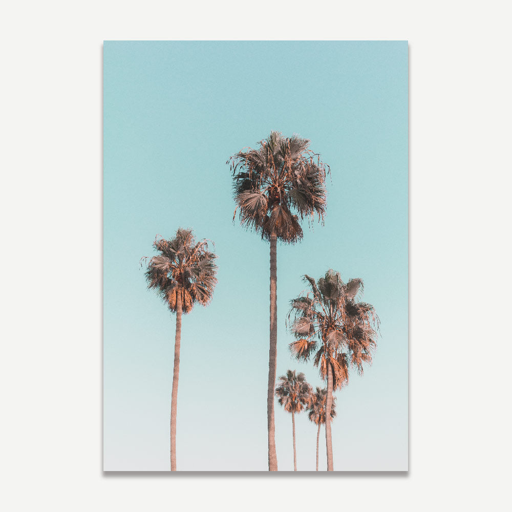 Framed LA palm trees photo - ideal wall decor for living room or office space