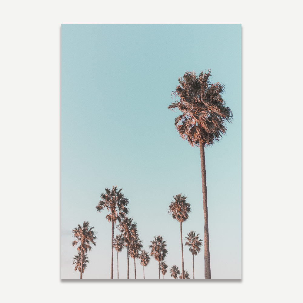 California Home Decor: Stylish print of palm trees in California. Perfect for the living room, lounge, or office. Enhance your wall decor today.