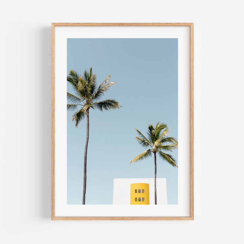 Mexico Palms