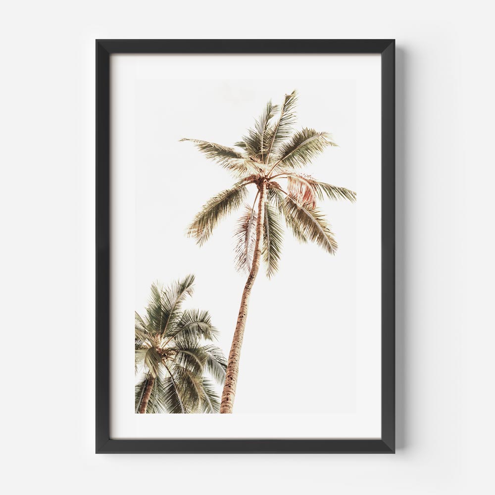 Coastal Elegance: Serene depiction of a palm tree swaying in the breeze in Mexico.