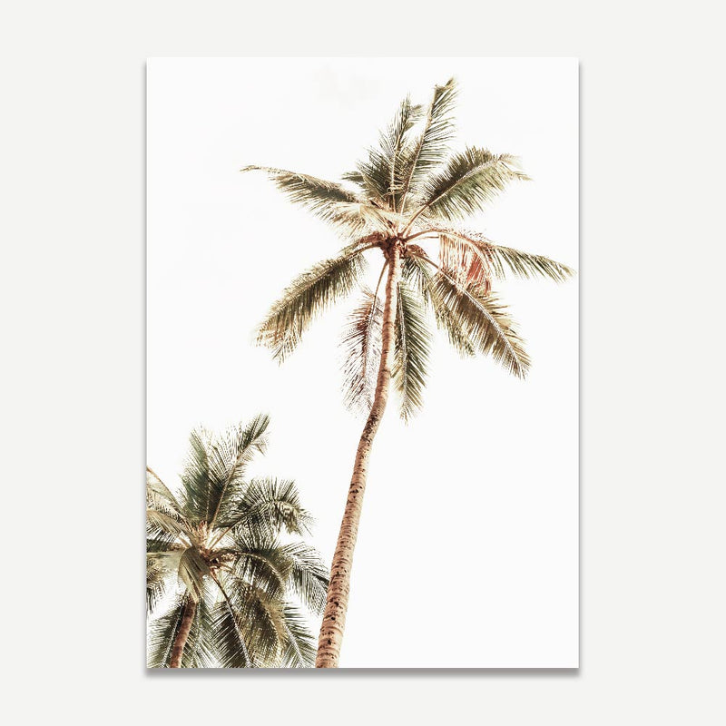 Set of 2 - Mexico Palms I - Palms PV I