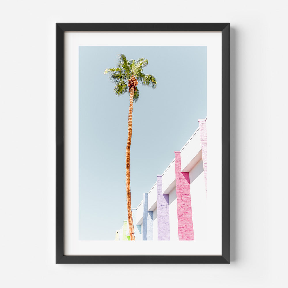 Framed palm trees against a colorful wall, a fine art print by Oblongshop for home and office decor.