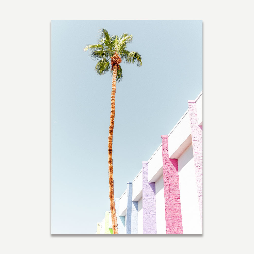Modern wall art featuring palm trees against a colorful wall, a unique creation by Oblongshop.