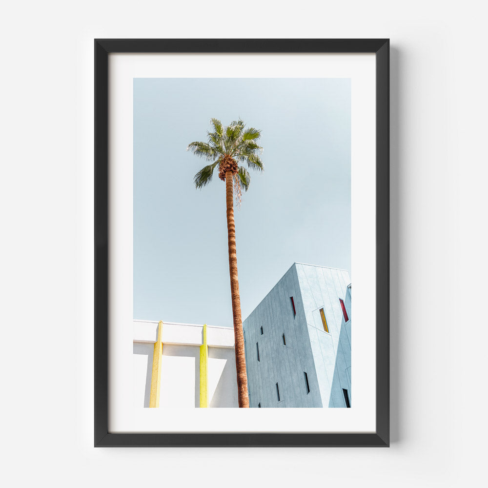 Canvas print showcasing a palm tree in Palm Springs, evoking the laid-back vibe of this iconic California destination.
