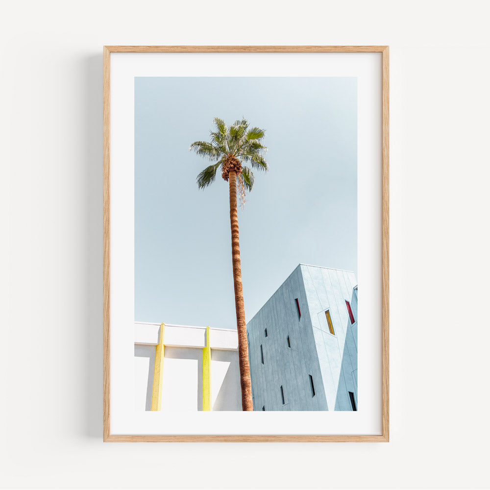 Palm tree in Palm Springs wall art canvas print, adding a sense of warmth and relaxation to your living space.