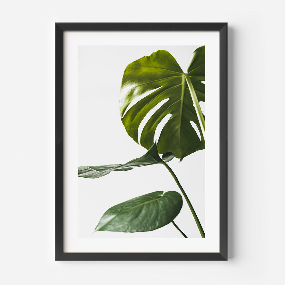 Monstera leaf print - abstract art for home and office wall decor by Oblongshop.