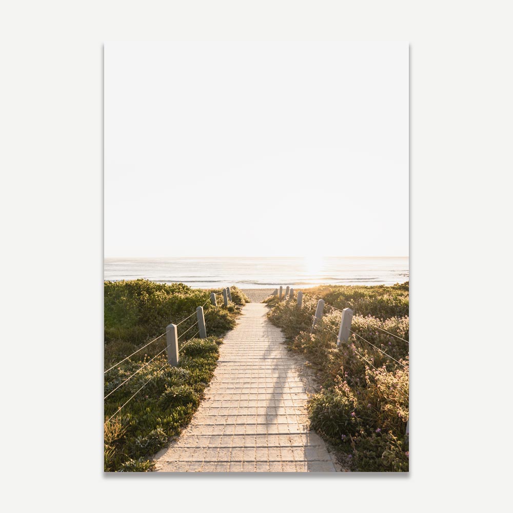 Elevate your decor with this cool art: Morning Bliss at Maroubra Beach - a captivating pathway to adorn your walls.