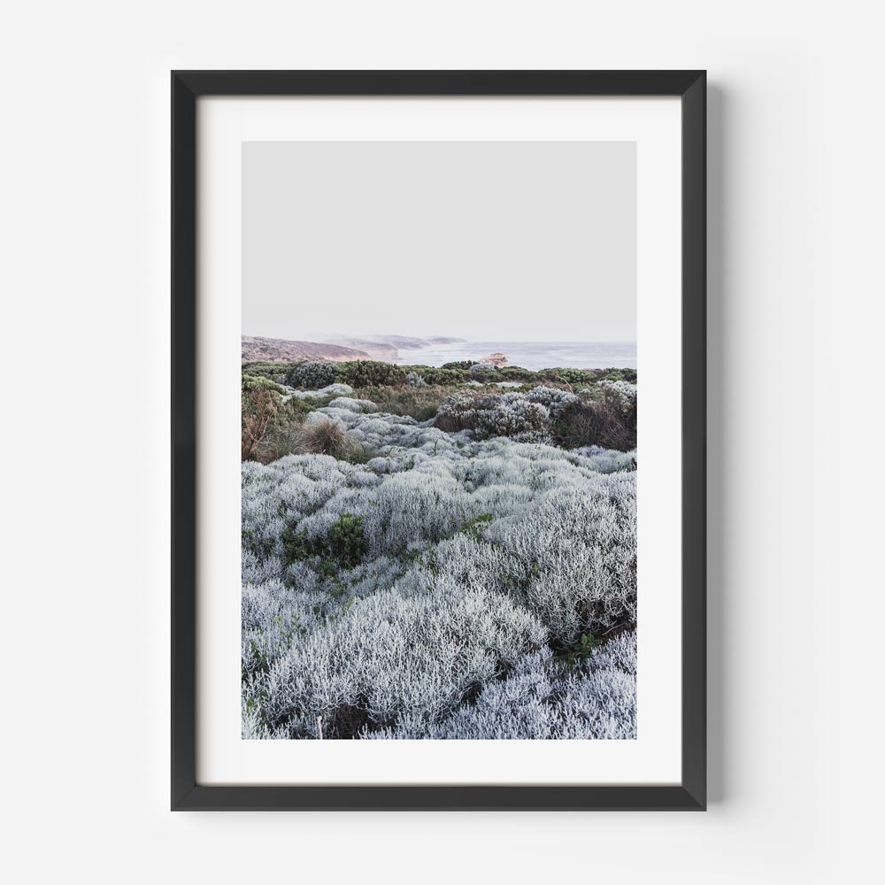 Real photography wall art: a black framed image of a field of plants from Great Ocean Road, Victoria, available for purchase.