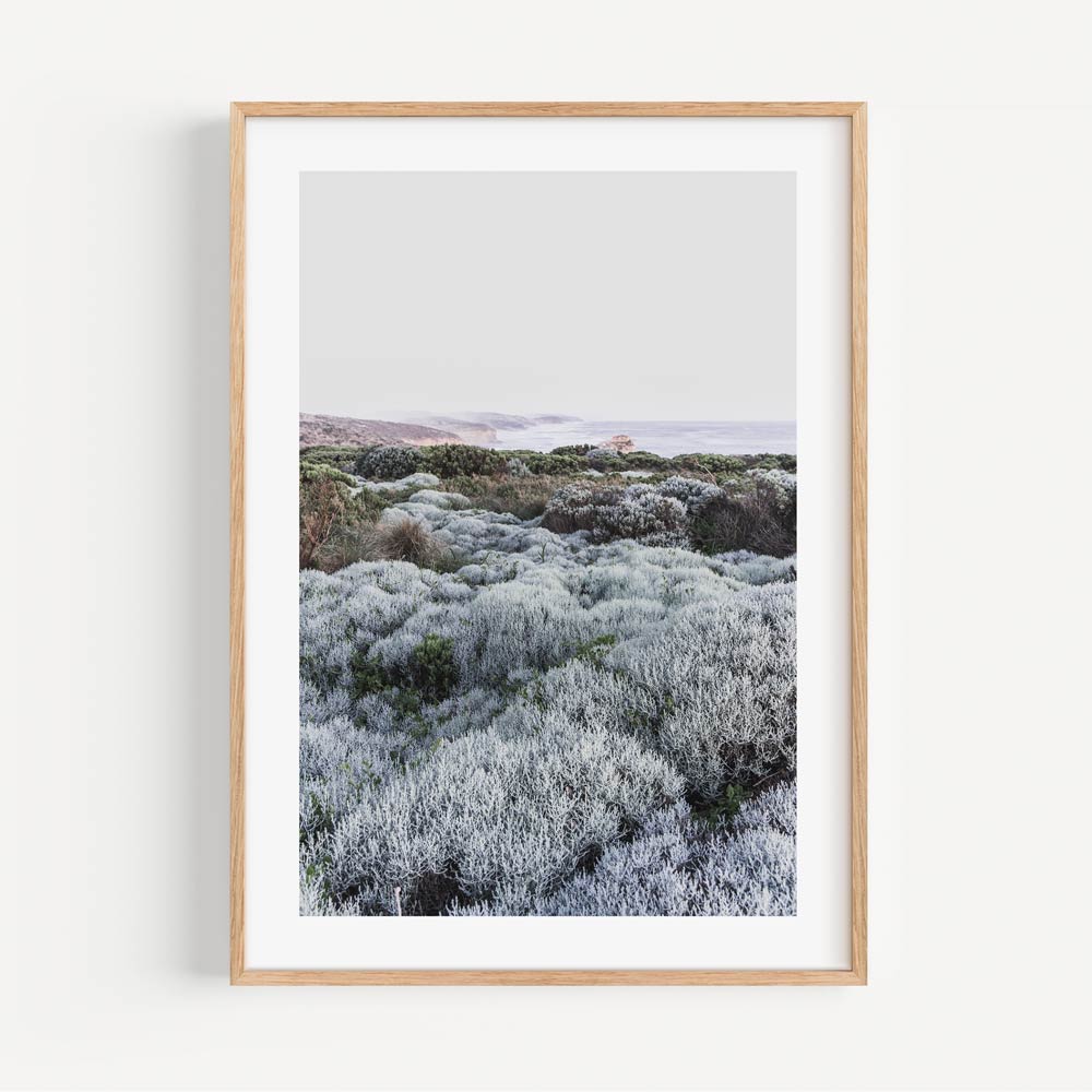 Enhance your living space with this wall art piece - a goldenframed photo of a field of plants from Great Ocean Road, Victoria.
