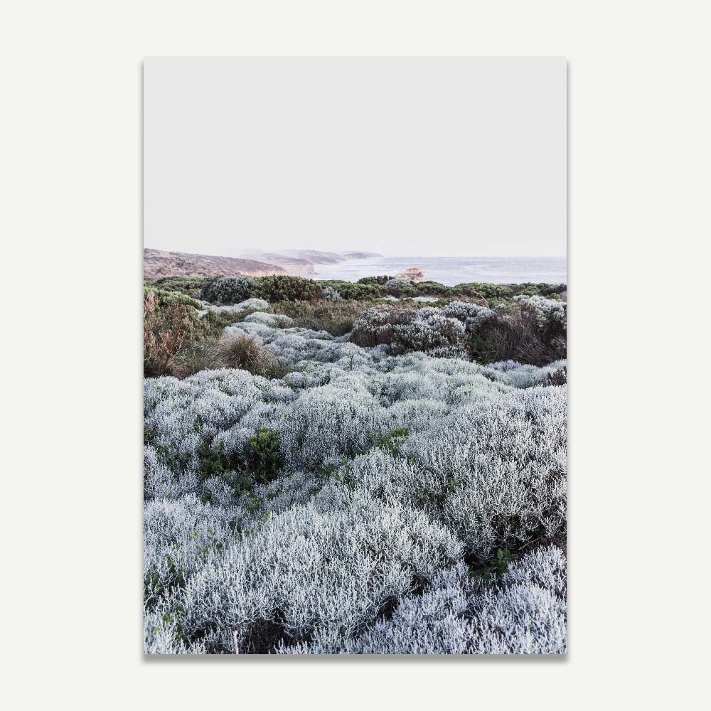 Transform your walls with this stunning wall art decor: a photograph of a field of plants from Great Ocean Road, Victoria.