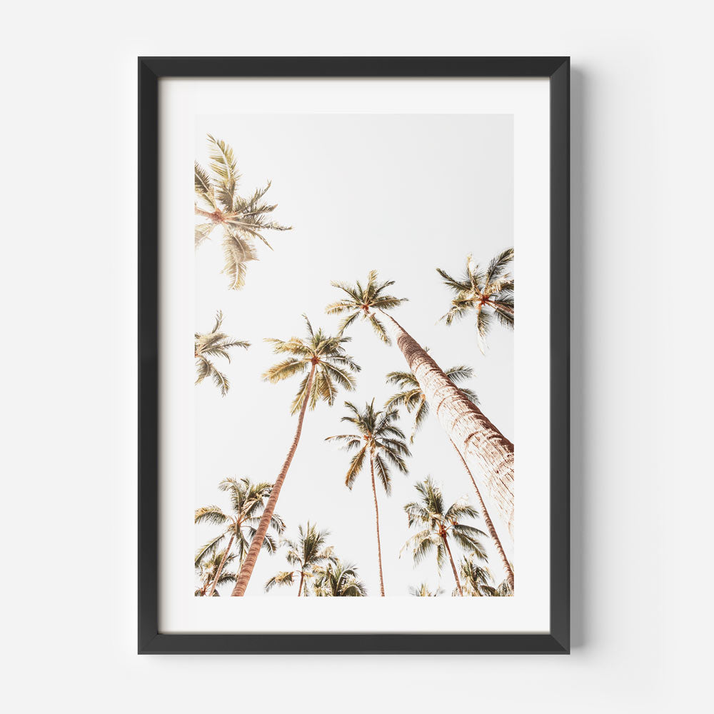 Captivating palm trees in black frame - exquisite wall art decor from Mexico by Oblongshop.