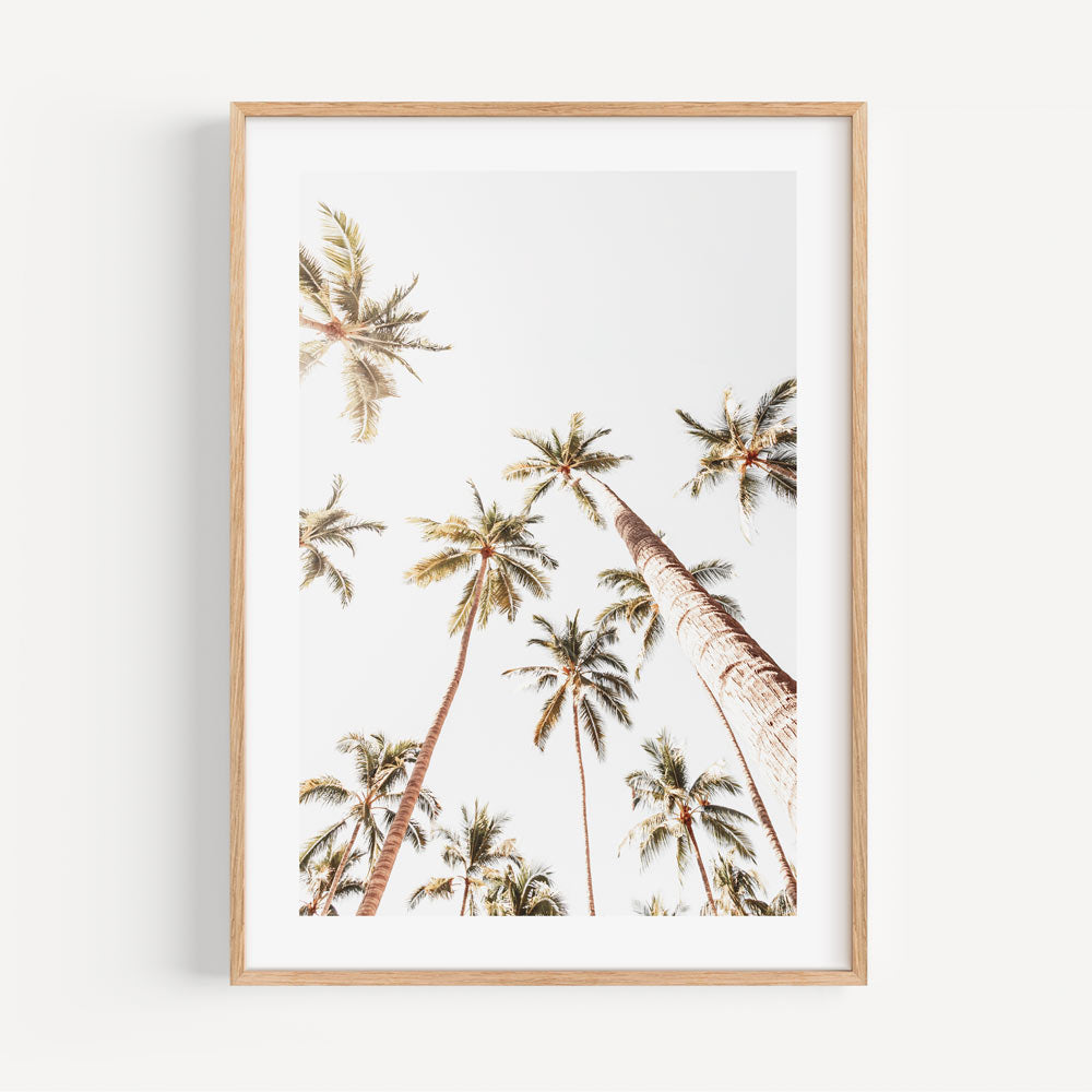 Serene palm trees in golden frame - mesmerizing wall artwork from Mexico by Oblongshop.