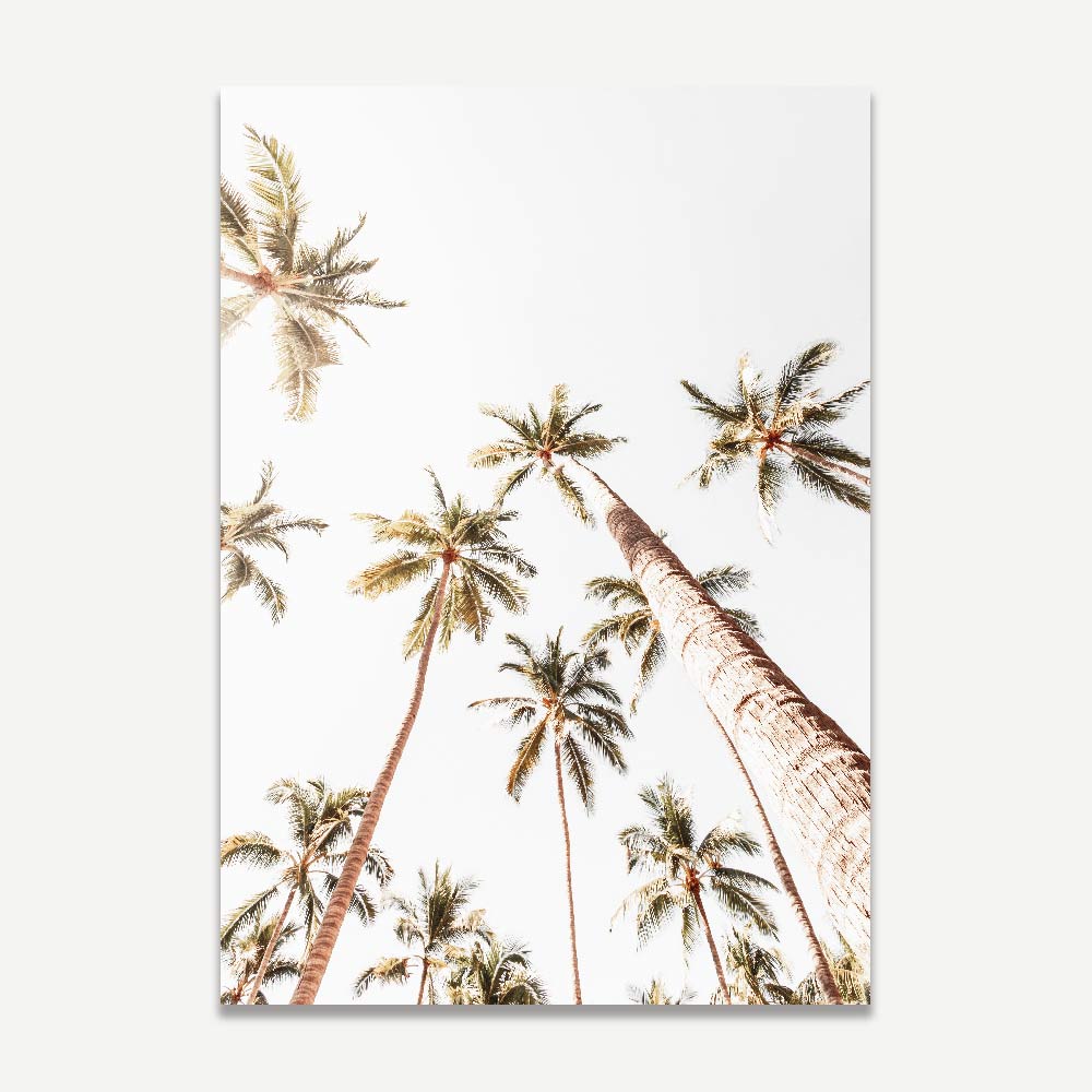 Tranquil palm trees - captivating wall art decor from Mexico by Oblongshop.