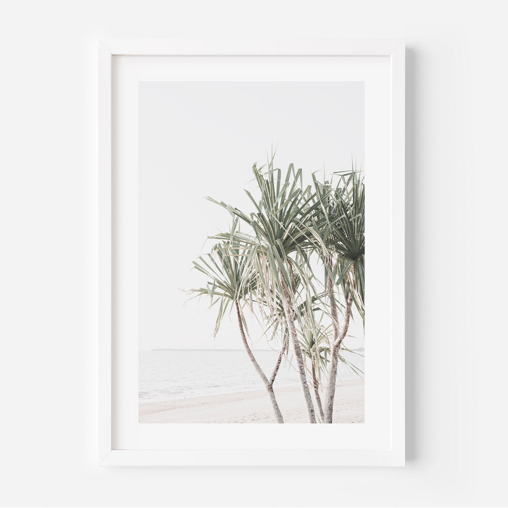 Framed photo of Pandanus Palm Trees at Mindil Beach, Darwin NT. Wall art for home and office decor. Oblongshop - Prints shop, canvas prints, fine art prints.