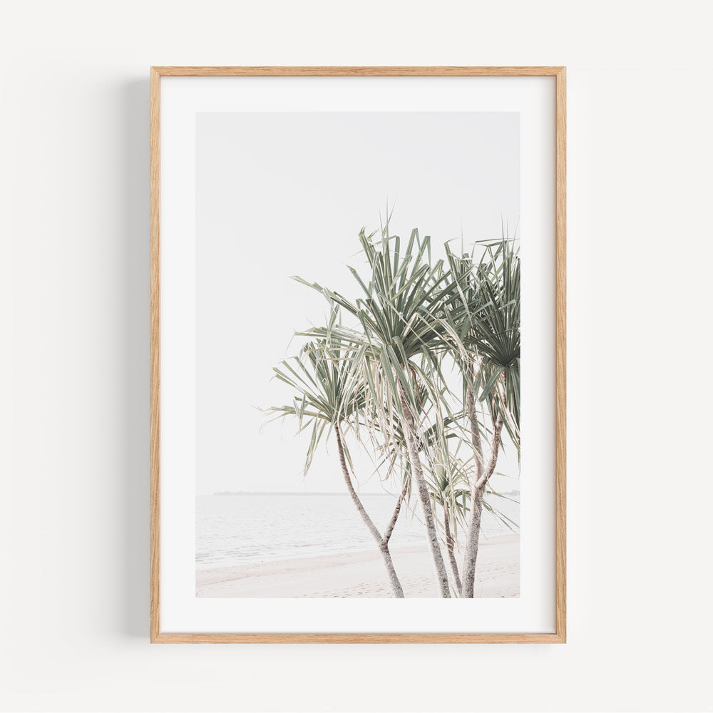 Framed Pandanus Palm trees photo - Mindil Beach, Darwin NT - Oblongshop canvas prints shop