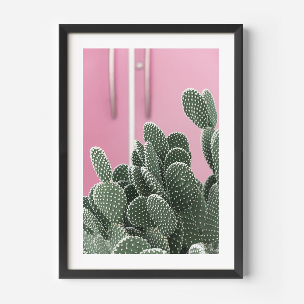 Discover stunning wall art featuring a cactus plant in Palm Springs.