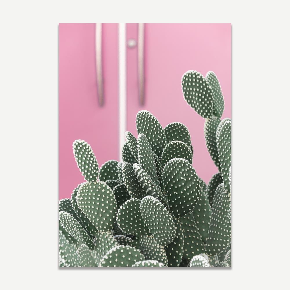 Lounge room wall art: Cactus print on pink door - Transform your living room with this cool art decor of a cactus plant in Palm Springs.