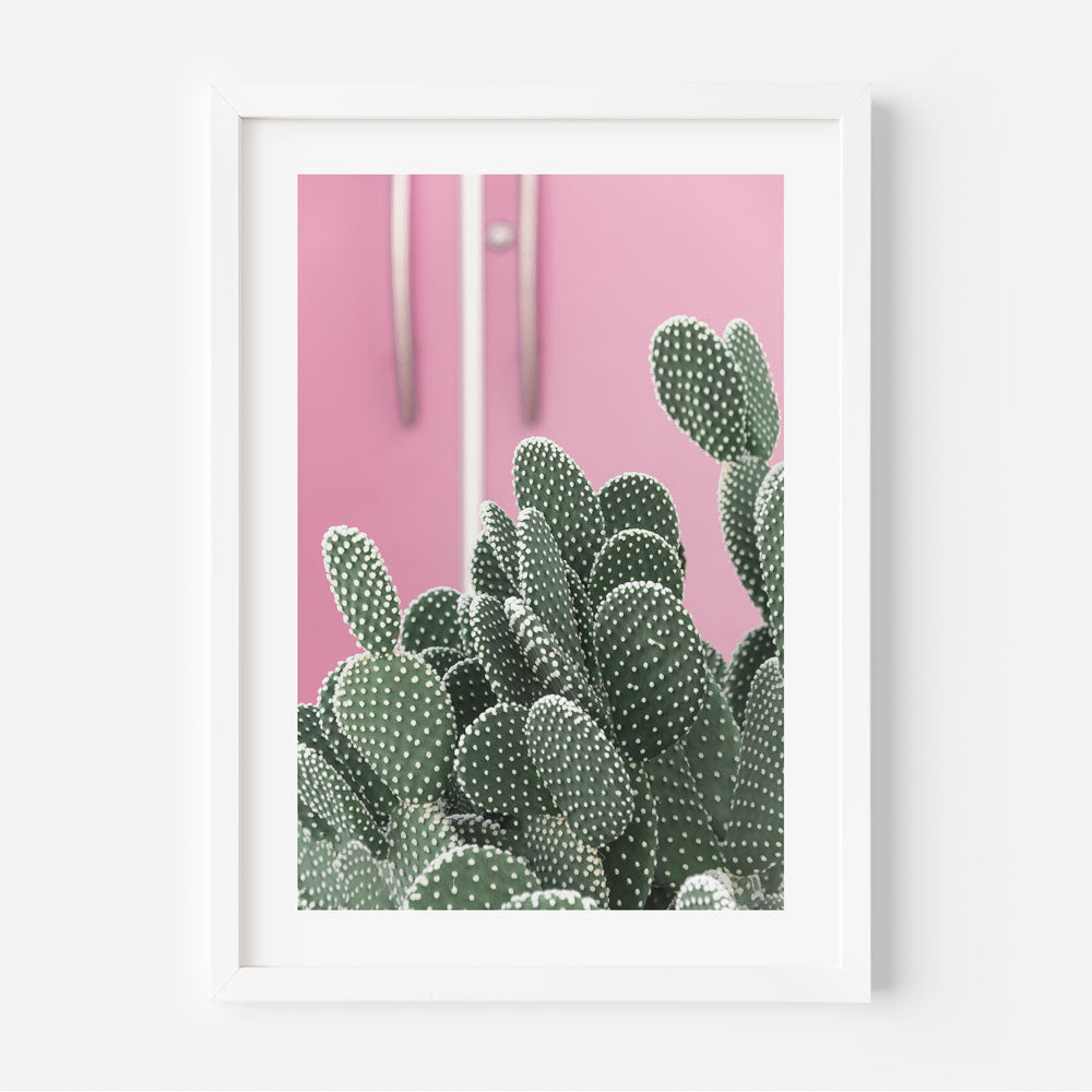 Wall art decor with real photography of a cactus plant in Palm Springs.