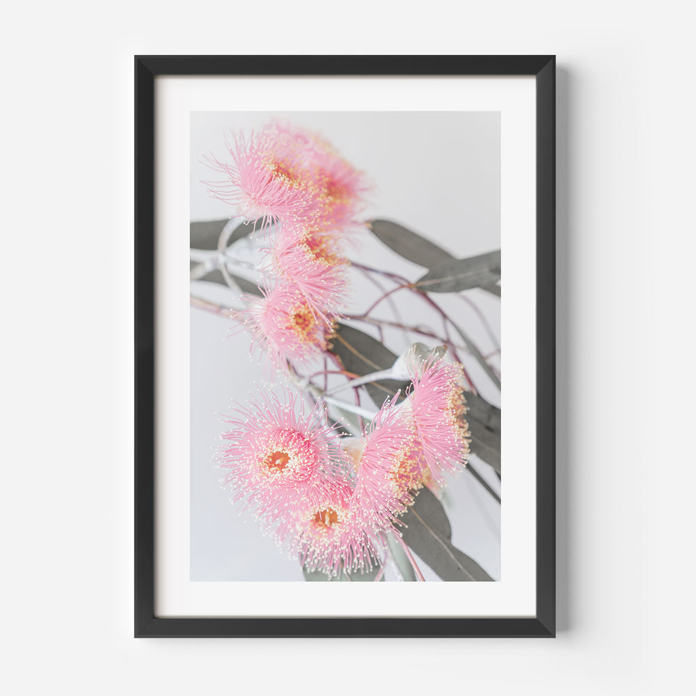 Pink eucalyptus flower framed photo, adding a touch of elegance to your wall art collection.