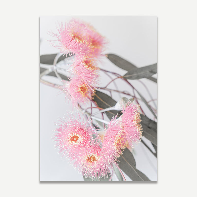 Set of 2 - Gum Nuts & Pink Eucalyptus I