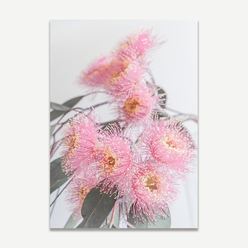 Set of 2 - Pink Eucalyptus I & II