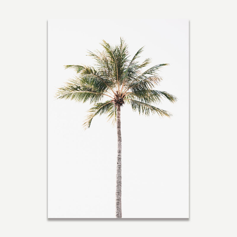 Set of 2 - Solo Coconut Palm & Mindil Palms II