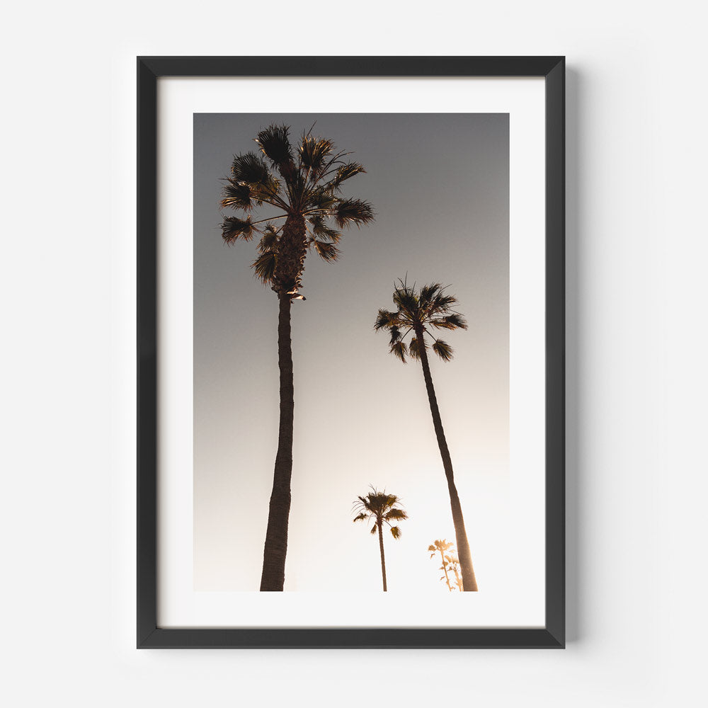 California sunset palm trees captured in a black frame - modern wall art for living rooms and offices by Oblongshop.