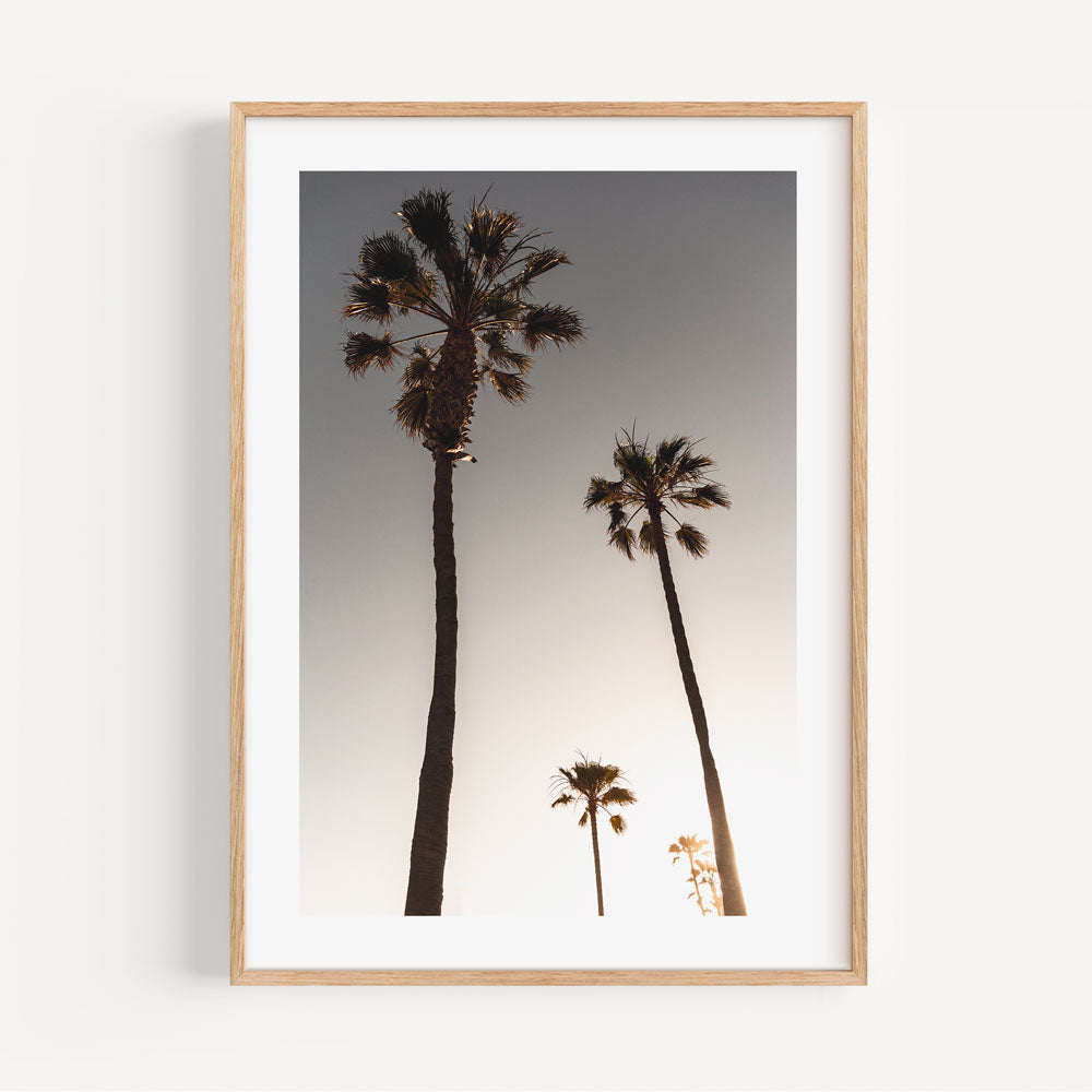 Wall art featuring sunset palm trees in California - framed canvas prints available at Oblongshop for home or office decoration.